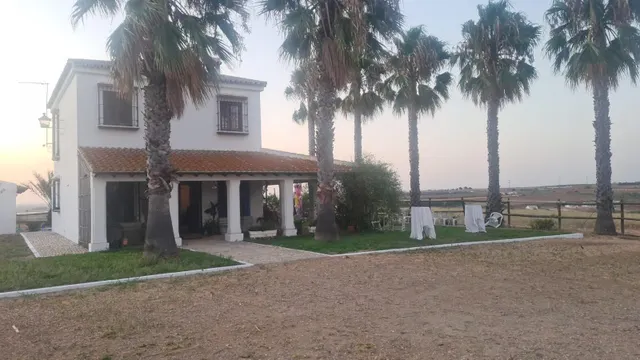 Espectacular finca de 19.000 m2 con 2 casas en Moguer (Huelva) — 19