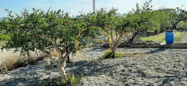 CASITA CON TERRENO EN ALBAIDA — 24