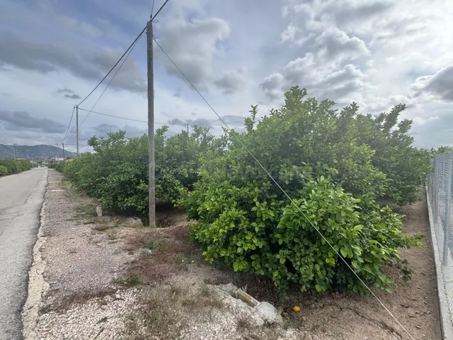 Se vende parcelica de huerto, plantado de limoneros en LLano - foto 2