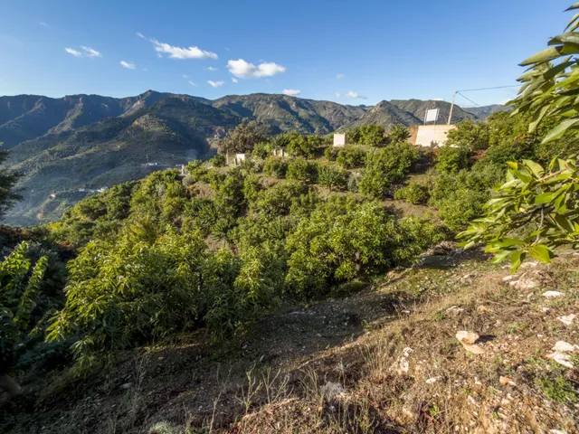 Finca rústica de AGUACATES con CONTRUCCIÓN de 37 m2 en Los Guájares (Faragüit) — 29