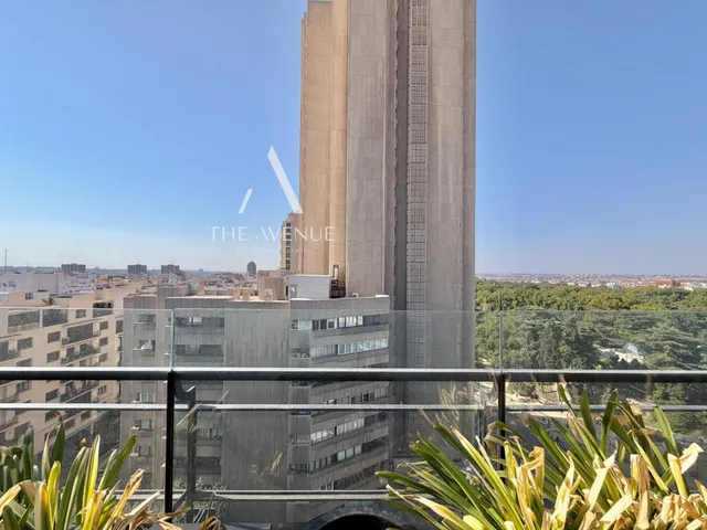 Alquiler de dúplex en Calle de O'Donnell con pisicina privada — 20