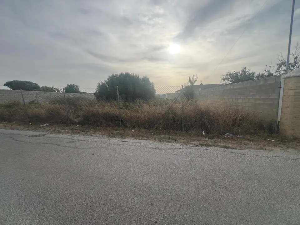 Parcela segregada en Venta en la Zona del Florín (1.000 m2)