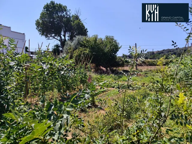 TERRENO EN MONTFULLA - foto 5