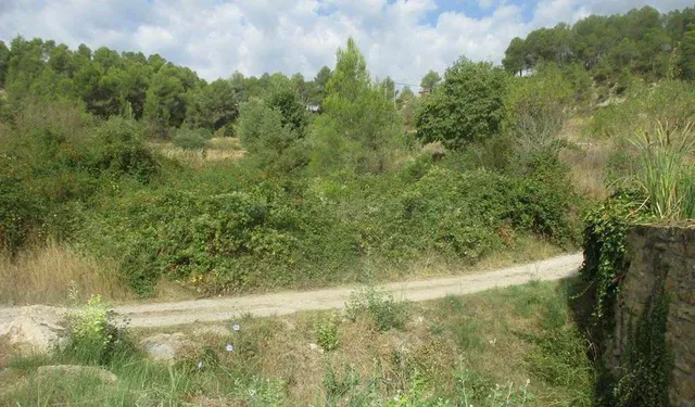 SE VENDE TERRENO URBANO EN CASTELLBELL I EL VILAR - foto 3