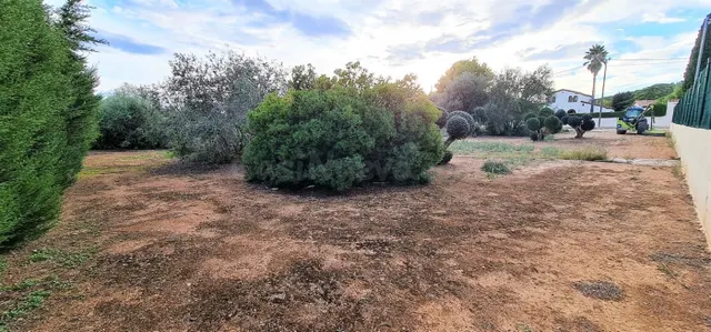 2 PARCELAS EN 1 COMPLETAMENTE LLANAS CON UN TOTAL DE 2300M2 — 5