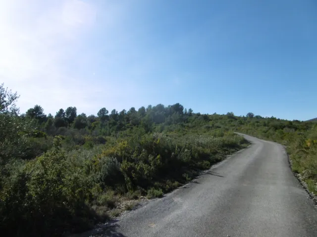 MASIA PARA REFORMAR  CON ALMACENES EN UNA FINCA DE 10 HECTÁREAS — 39