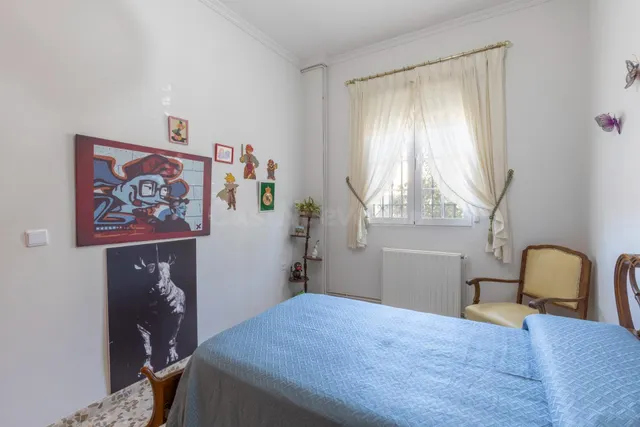 Casa en planta baja con cuatro naves y local — 20