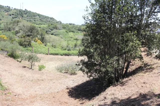 Terreno Agrario en Venta â Zona de Erjos (municipio de Los Silos / El Tanque) — 6