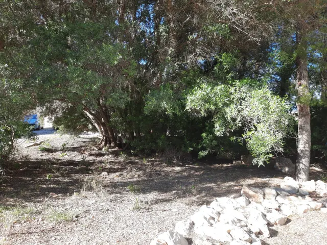 Parcela en zona Corral de calafat — 12
