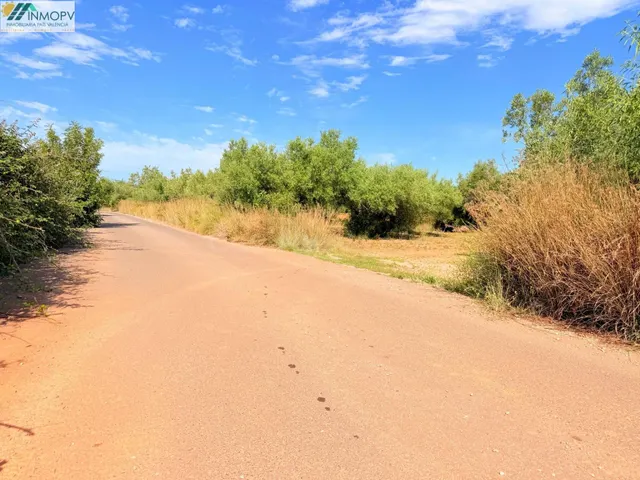 ¡OPORTUNIDAD! PARCELA RÚSTICA DE 3.900 m2 EN PEÑÍSCOLA CON A - foto 3