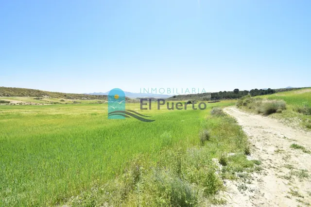 TERRENO DE 20.000 METROS EN LA MAJADA — 4
