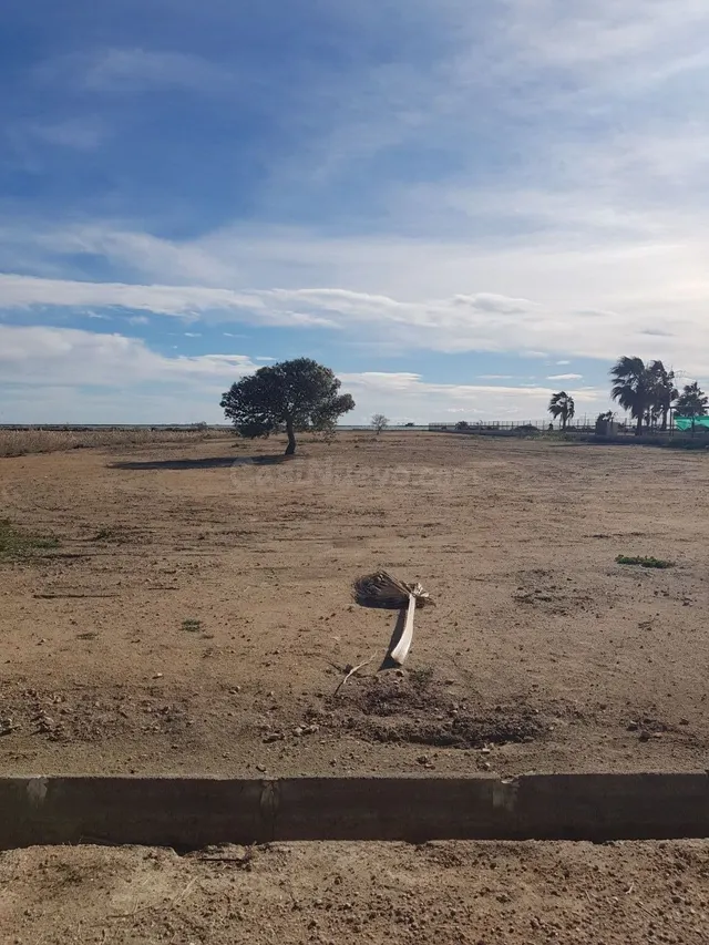 FINCA RUSTICA — 2