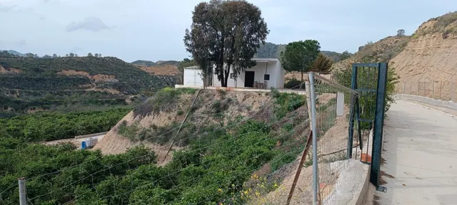 Finca rústica en cabezo de la plata — 13