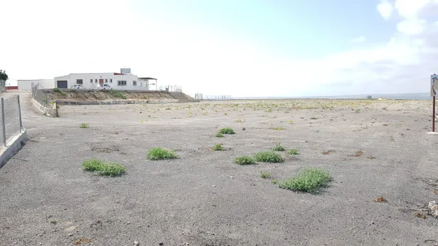 SE VENDE FINCA RÚSTICA DE 27.000 m Los Montesinos — 27