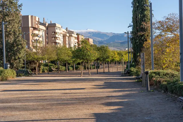 Local comercial de 200 m2 cerca del estadio Los Carmenes, magnifica oportunidad de inversion — 37