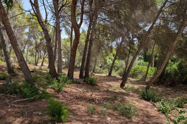 Parcela en venta - Pinar de Advocat-Cometa — 12
