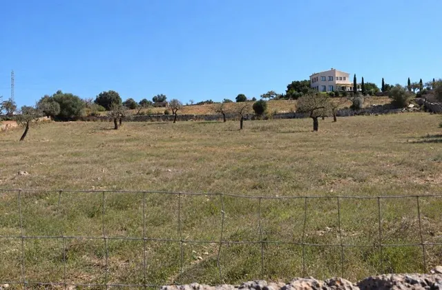 Finca rústica con posibilidad de vivienda en Ariany — 8