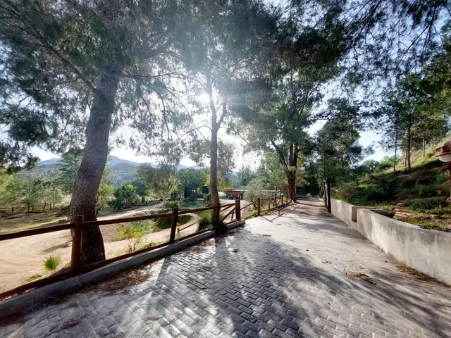Casa con terreno en zona del Garruchal — 24