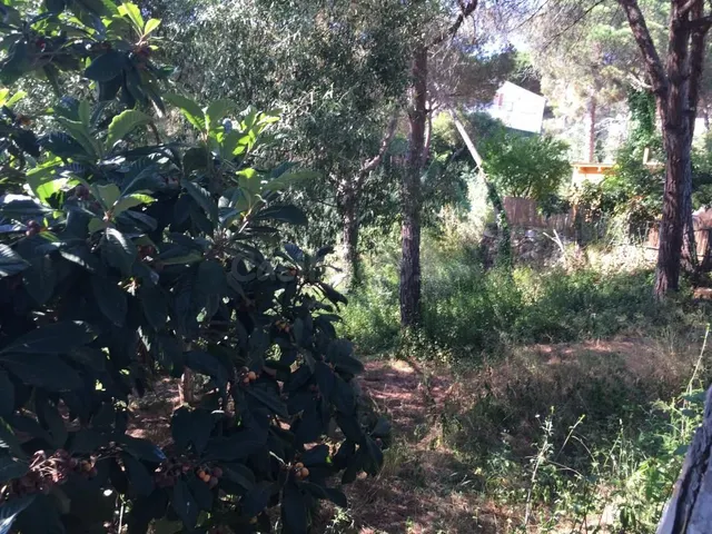 Terreno urbano en venta - Los pinares - foto 5