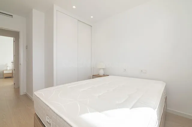 Exclusivo ático en esquina junto a El Corte Inglés de Elche — 27