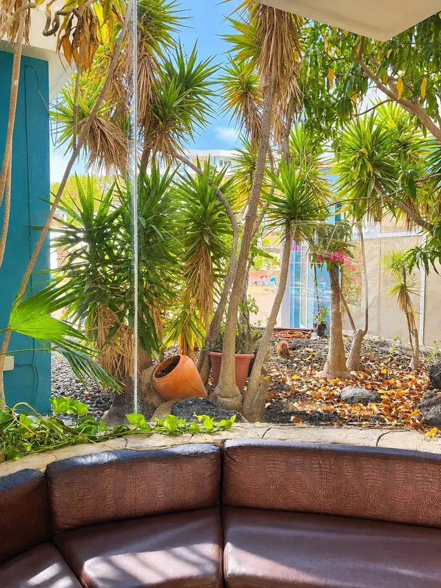 ## Estudio reformado en Amarilla Golf con vistas al mar — 26