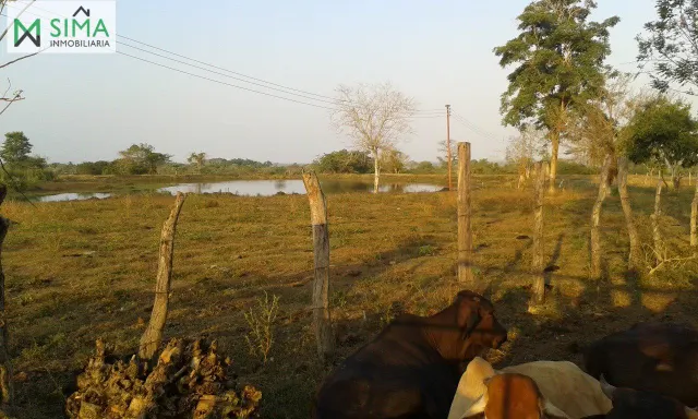 SE VENDE FINCA GANADERA EN EL MUNICIPIO DE MAHATES BOLIVAR — 16