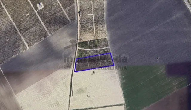 PARCELA RÚSTICA EN LA ZONA DE RANCHO PEREGIL - foto 2