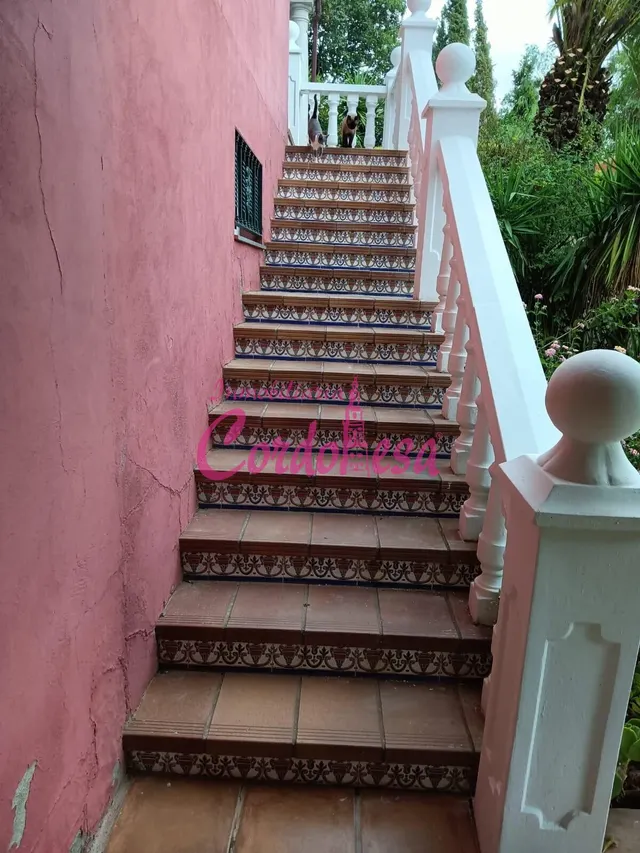 CASA EN CUEVAS BAJAS — 11