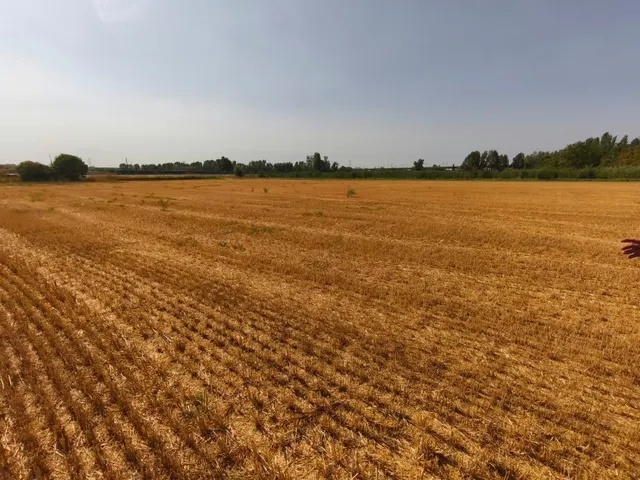 Fincas rústicas en Lleida – venta conjunta — 2