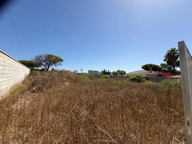 Parcela rústica en venta en la Zona de Campano - foto 4