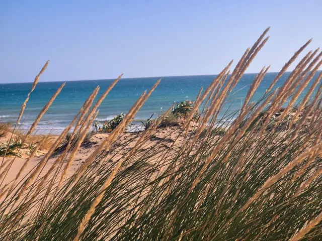 Tu refugio entre Vejer y el Atlántico — 13