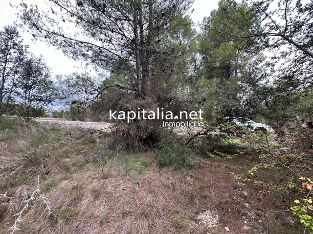 Parcela a la venta en Alfafara — 2