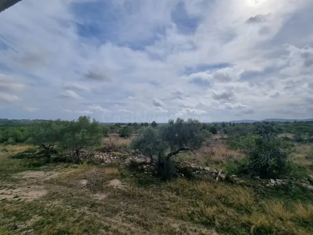 Finca Rústica con construcción de mas de 200m2 para reformar - foto 2