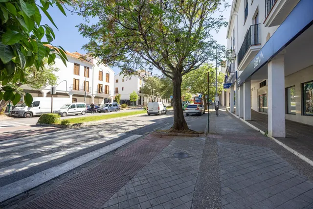 LOCAL COMERCIAL - CERRO DE LOS MACHOS. — 18