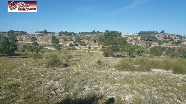 Parcela rustica en Albacete - foto 4