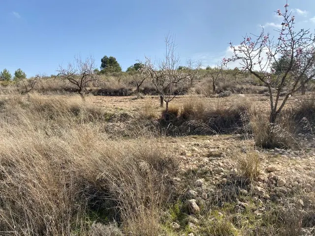 CASA CUEVA PARA PEQUEÑA REFORMA — 15