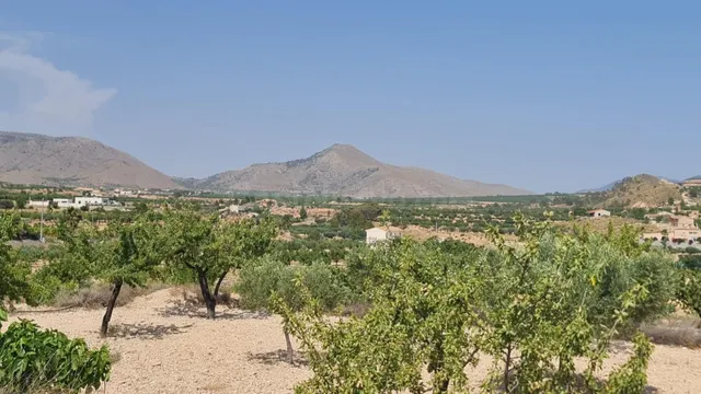 Parcela en venta - Macisvenda