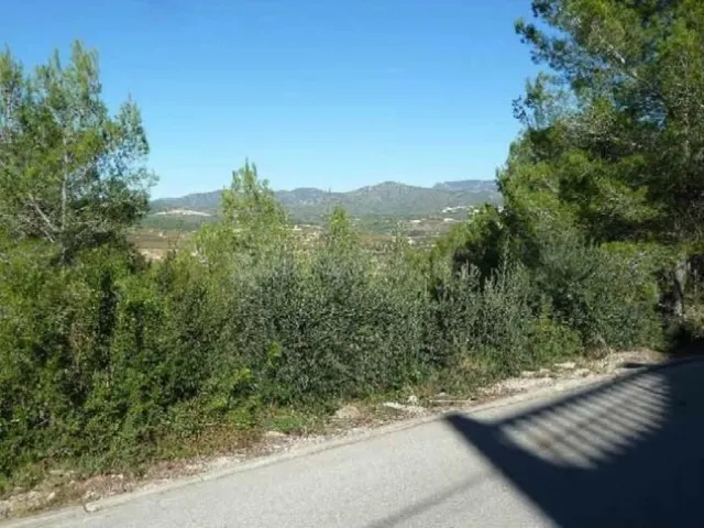 PARCELA EN VENTA EN CAN GORDEY - LA BISBAL DEL PENEDÈS - foto 3