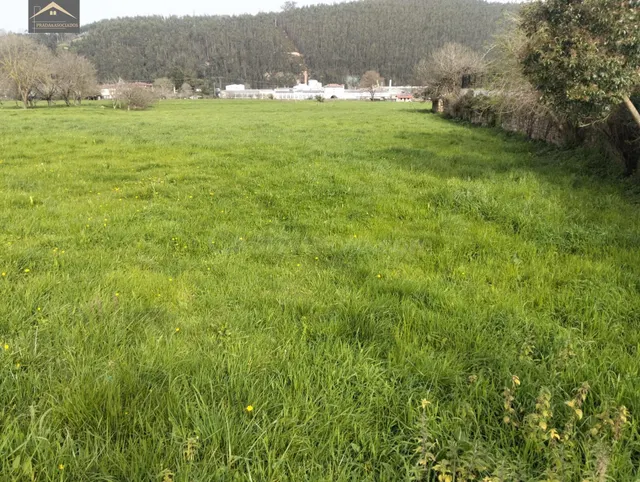 FINCA URBANA 2875M2 EN VERNEJO (CABEZON DE LA SAL) - foto 4