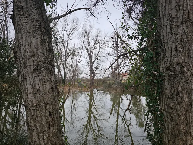 ANTIGUAS NAVES DE CERDOS EN VENTA — 16