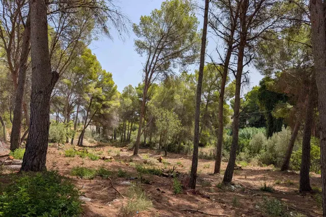 Parcela en venta - Pinar de Advocat-Cometa — 13