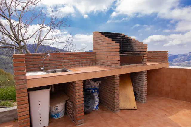 Finca agrícola de 5 hectáreas con alta rentabilidad y produc - foto 5