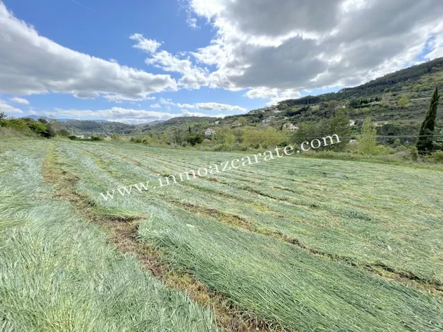 Parcela rustica en Estella - foto 3