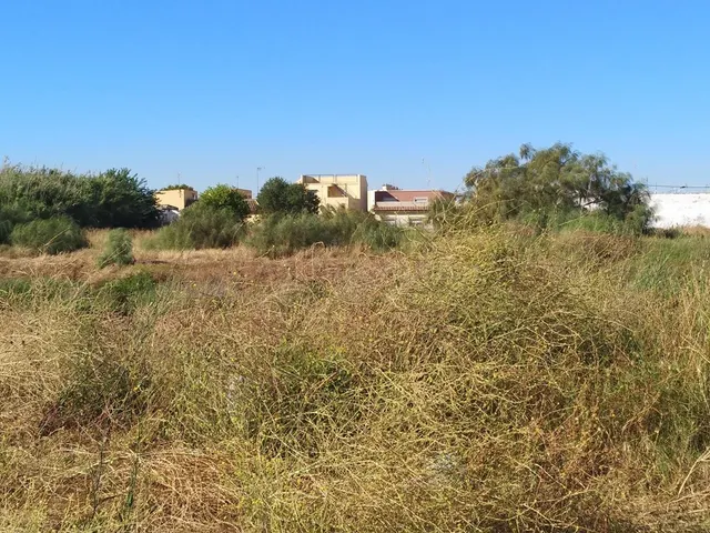 Solar 1000m² en venta - Centro - foto 2