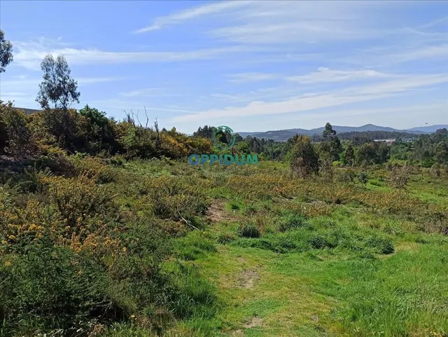 SUELO URBANO EN O MILLADOIRO, AMES, A CORUÑA - foto 5