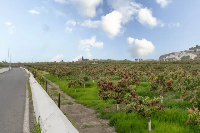 Finca con unas vistas de ensueño en Salobreña — 26