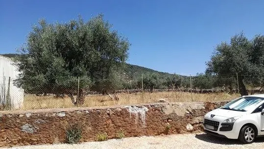 Suelo urbano en venta en Cañaveral de León (Huelva) – uso re