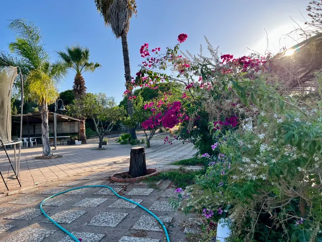 Finca rústica en Ayamonte — 7