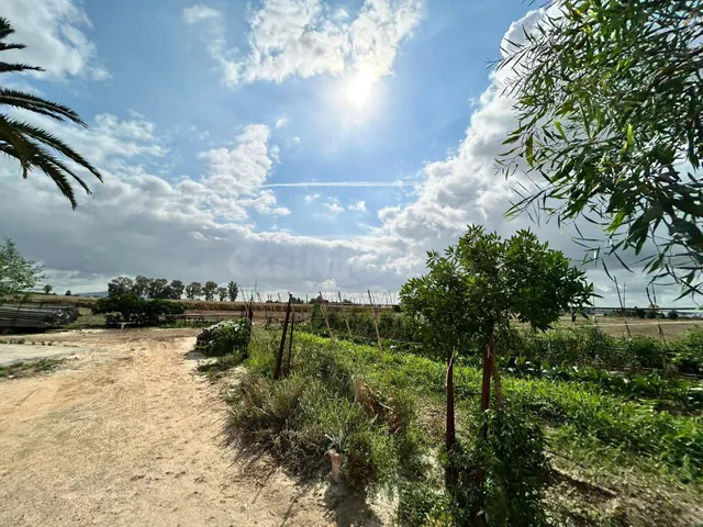 TERRENO EN VENTA CON CASAS, NAVES, TRASTEROS, MAQUINARIA... - foto 2