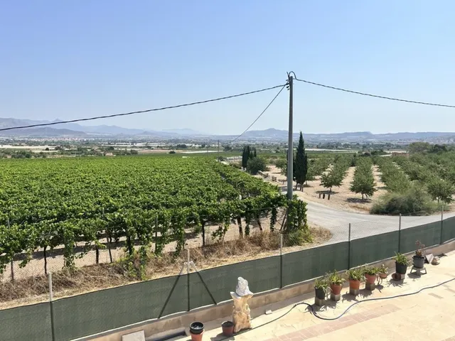 Casa-Chalet en Venta en Aspe Alicante — 29